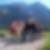 Profilbild von Tobias Richtering