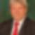 Profilbild von Dieter Greysinger