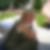 Profilbild von Andrea Hense