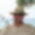 Profilbild von Thilo Vondran