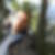 Profilbild von Andreas Frank