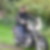 Profilbild von Fred Komp
