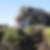 Profilbild von Solveigh Dogunke
