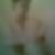 Profilbild von Andrea fischer