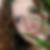 Profilbild von Janine Adam