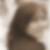 Profilbild von Sandra Gall