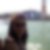 Profilbild von Jacqueline Strittmatter