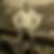 Profilbild von Carsten Ihle
