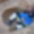 Profilbild von Martin Augustin
