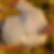 Profilbild von Peter Disseler