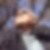 Profilbild von Lothar Rochlitz