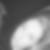 Profilbild von Nora Wiltschut