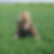 Profilbild von Birgit Wess