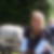Profilbild von Sabine Blom