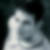Profilbild von Daniel Kudwien
