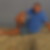 Profilbild von Klaus Sommer