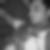 Profilbild von Thomas Lange