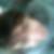 Profilbild von Pascal Pick