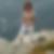 Profilbild von Elisabeth Losch 