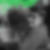 Profilbild von Frank Amend