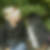 Profilbild von Christine Dotzauer