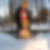 Profilbild von Marianne Fietzeck