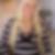 Profilbild von Nicole Stark
