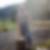 Profilbild von Thomas Löffelmann