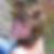 Profilbild von Kerstin Markwart