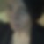 Profilbild von Janine Kauert