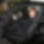 Profilbild von Brigitte Arnswald