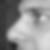 Profilbild von Clemens Nitsche