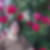 Profilbild von Renate Plitt