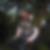 Profilbild von Peter Traut 