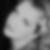 Profilbild von Janine Cronauer