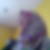 Profilbild von Sevgi Torun