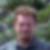 Profilbild von Michael Stern