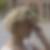 Profilbild von Daniela Grube