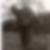 Profilbild von Matthias Vehlow