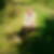 Profilbild von Manuela Will