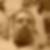 Profilbild von Jens Glinka