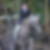 Profilbild von Stephanie Pirner