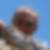 Profilbild von Karl Schulte