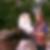 Profilbild von Susan Thomas