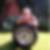 Profilbild von Thomas Maylahn