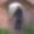 Profilbild von Gerd Wolter
