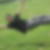 Profilbild von Danny Oldag