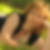 Profilbild von Birgit Heck