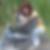 Profilbild von Birgit Rehfeld