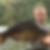 Profilbild von Axel Kuchenbecker
